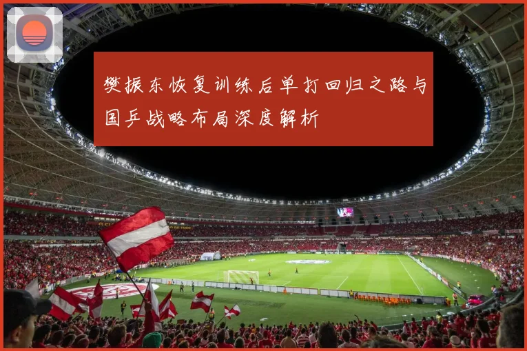 樊振东恢复训练后单打回归之路与国乒战略布局深度解析