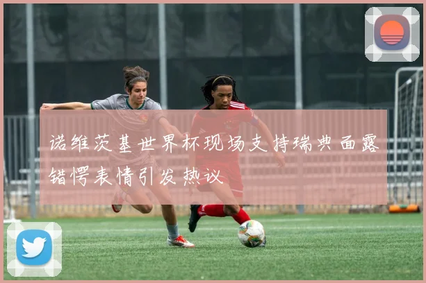 诺维茨基世界杯现场支持瑞典面露错愕表情引发热议