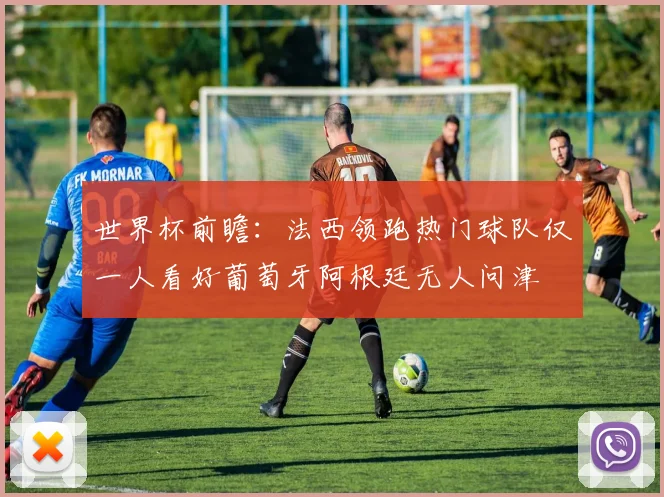 世界杯前瞻：法西领跑热门球队仅一人看好葡萄牙阿根廷无人问津